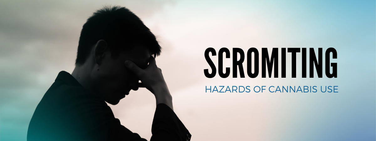 /corporate/images/SCROMITINGBANNER.png